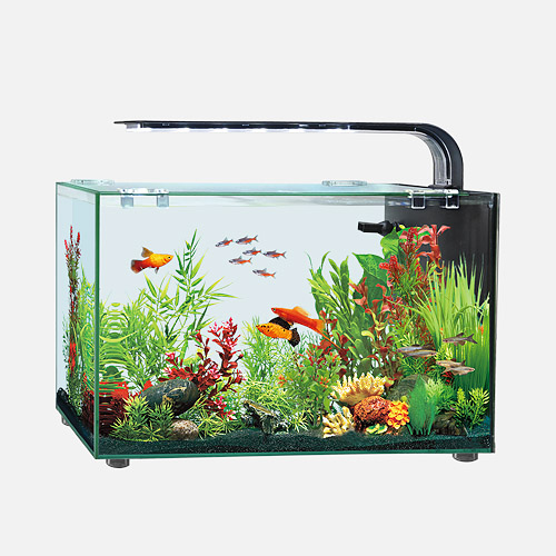 深圳市興日生實業有限公司 專業水族箱制造與創新